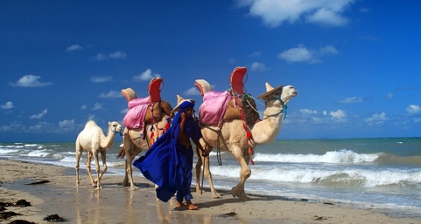 Hotel-Tunisie